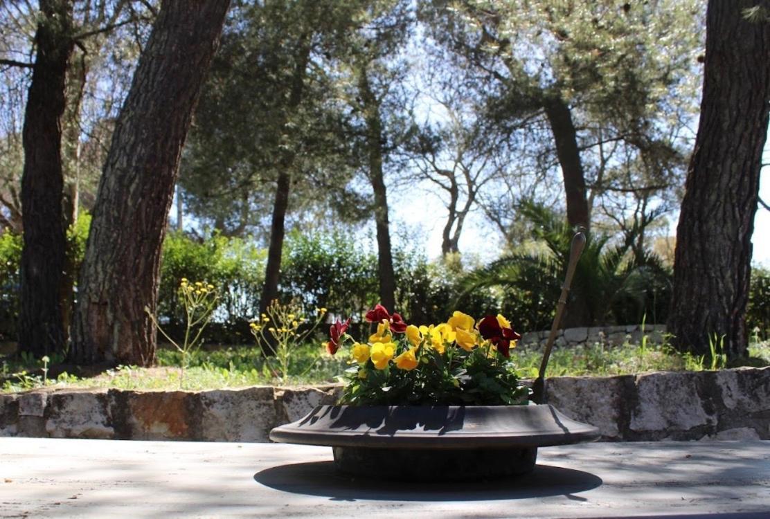 לוקורוטונדו Trulli Pinnacoli מראה חיצוני תמונה